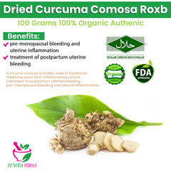 Dried Curcuma comosa Roxb