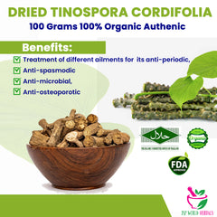Dried Tinospora Cordifolia 100 Grams 100% Organic Authenic