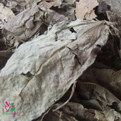 Dried Thunbergia laurifolia 100 Grams 100% Organic Authenic