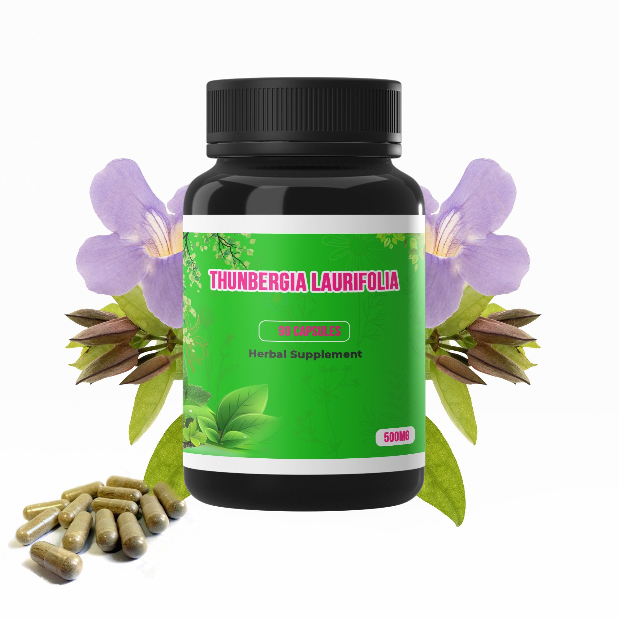100% Organic Authentic From Thailand Country of Herbal Industry, Thunbergia Laurifolia