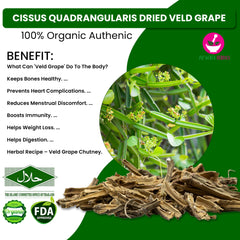 Dried Cissus quadrangularis Veld grape , Dried Cissus quadrangularis Veld grape, heart disease, Boosts Immunity