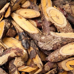 Close-up of sliced roots with a focus on texture and color.