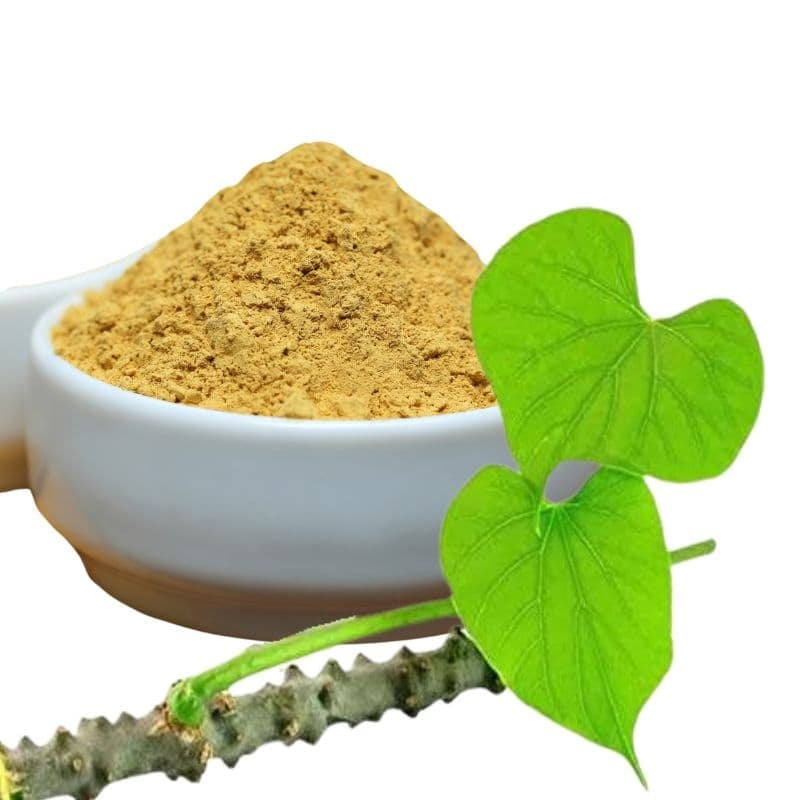 Heart Leaved Moonseed Powder 100g. Tinospora cordifolia vine