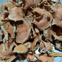 Dried Curcuma zedoaria Rosc 100g. White Turmeric or Zedoary