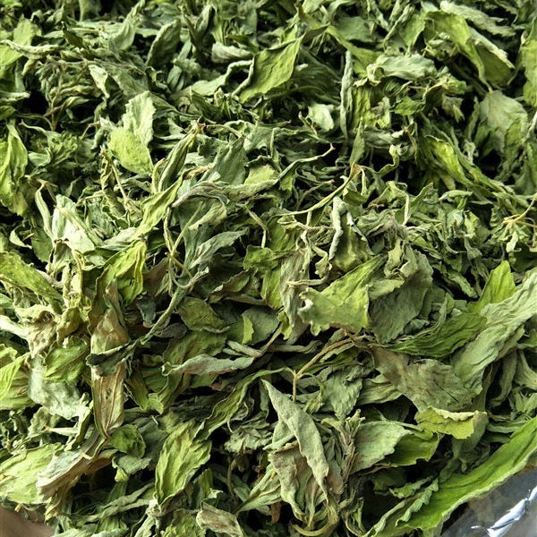 Dry green leaves in a clear plastic bag