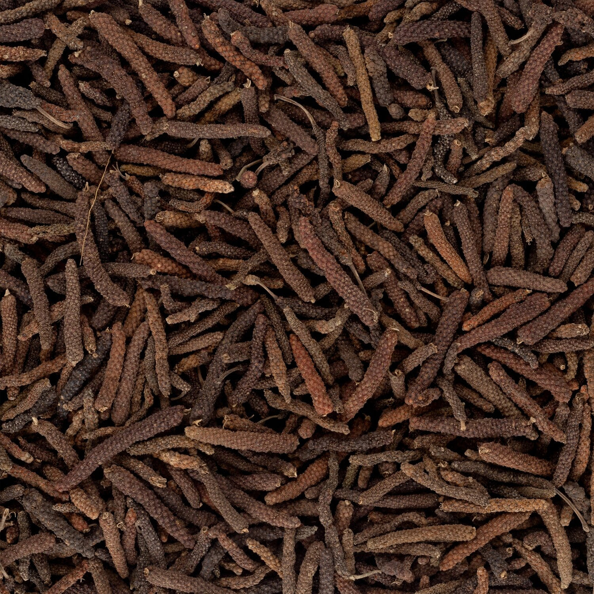 Dried Long pepper Pippali 100g.