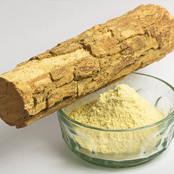 Bark of a plant next to a glass bowl filled with powdered form on a white background
