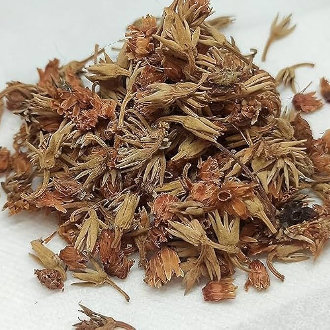 Dried flowers or herbs on a white background
