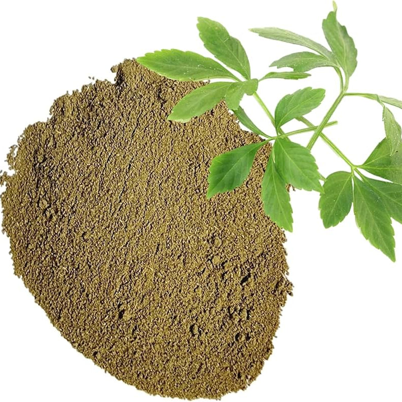 Green powder with a sprig of green leaves on a white background