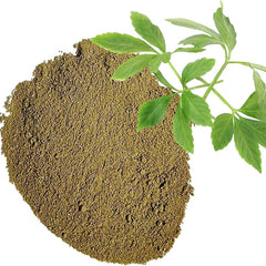Green powder with a sprig of green leaves on a white background