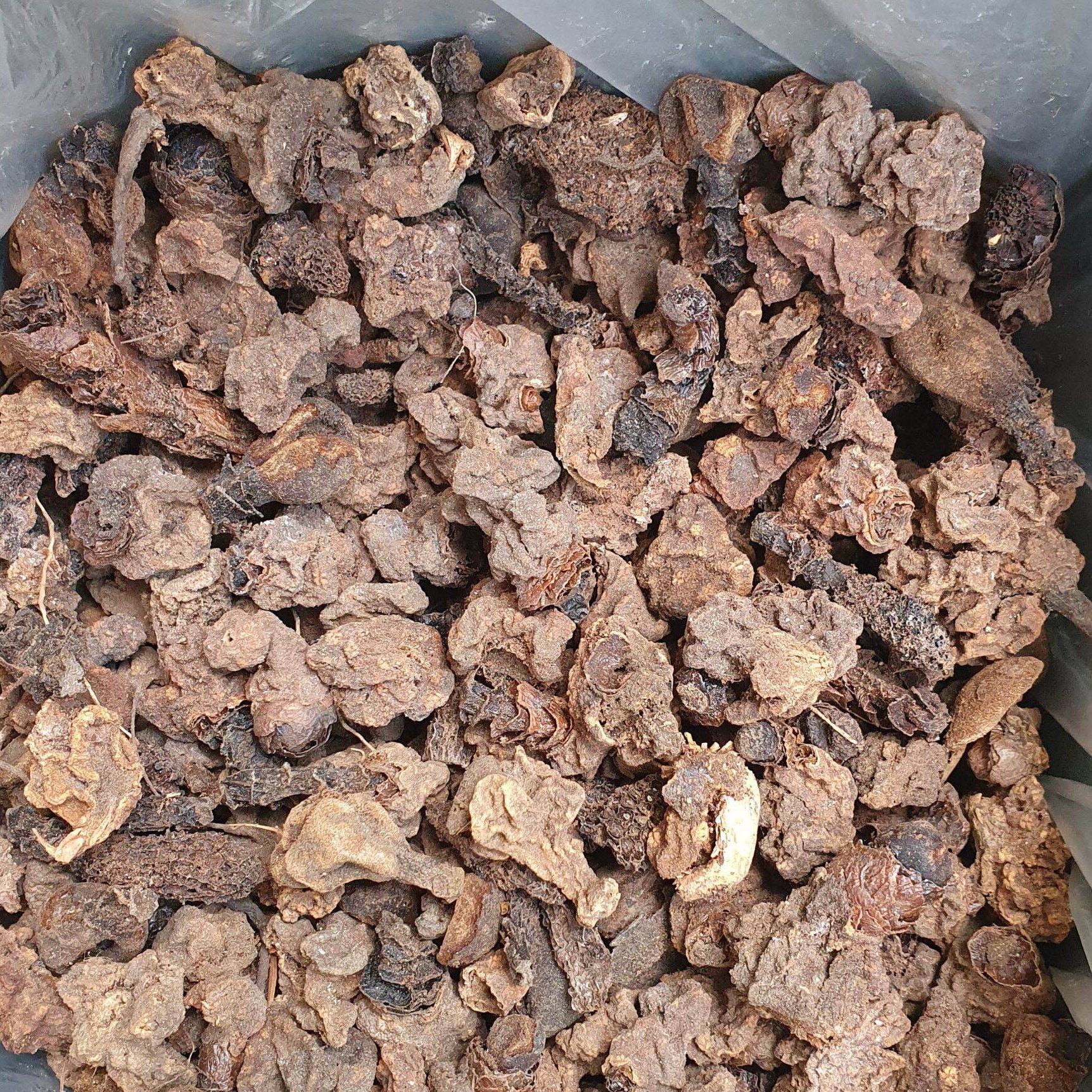 Heap of brown soil or compost in a gray container with Thai text at the bottom.