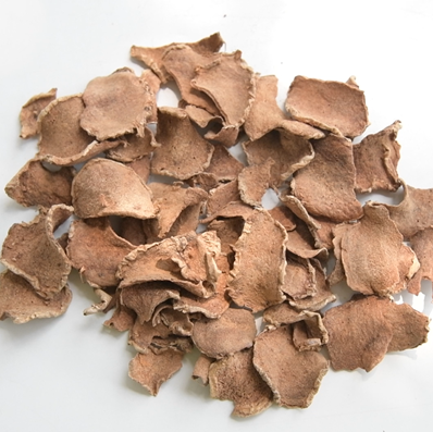 Brown dried leaves or petals on a white background