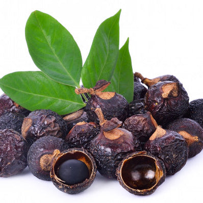 Pile of dark berries with green leaves on a white background