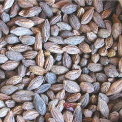 Dried Terminalia Citrina Roxb 100g. Yellow Myrobalan or haritaki