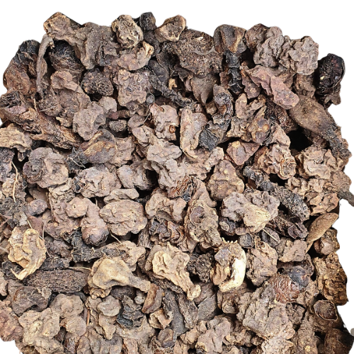 Dried Balanophora abbreviata Blume 100g. Hora thao sunak