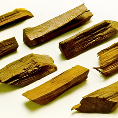 Dried Alangium salviifolium L.f. Wangerin 100g.