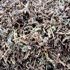 Dried Mimosa pudica L. 100g.