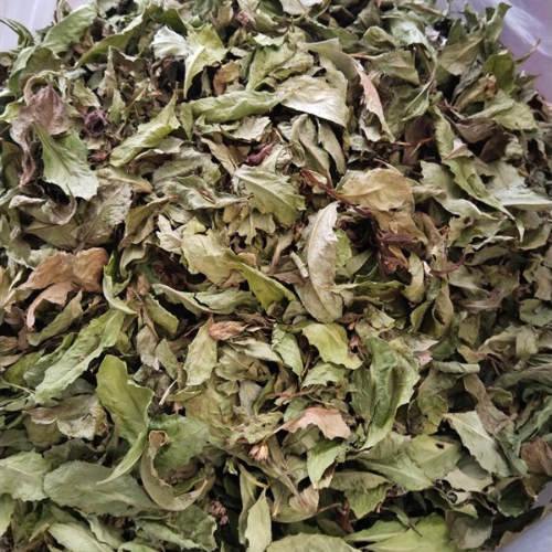 Dried Indian Marsh Fleabane 100g. Pluchea indica L. Less.