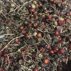 Dried Purple fruited pea eggplant Thai nightshade Seed 100g.
