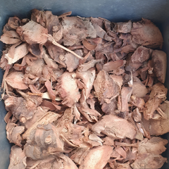 Dried Calamus viminalis Willd Root 100g.