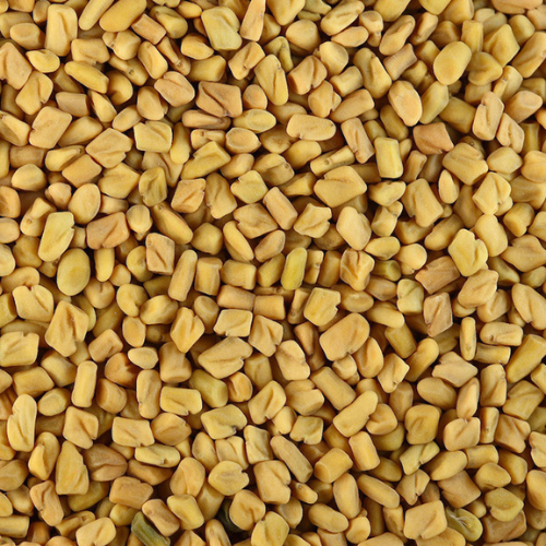 Fenugreek Seed 100g. Methi Trigonella foenum-graecum