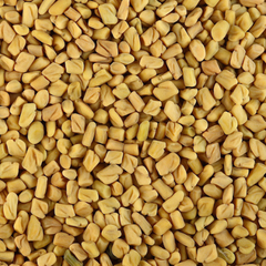 Fenugreek Seed 100g. Methi Trigonella foenum-graecum