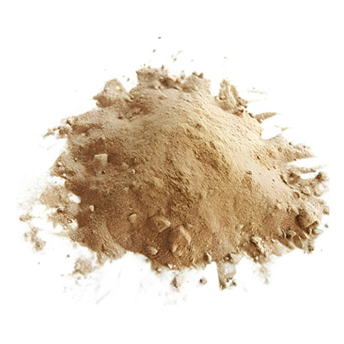Magnolia × alba Flower Powder 100g. Michelia alba
