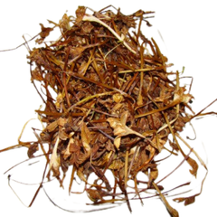 Dried Indian Cork Tree Flower 100g. Millingtonia hortensis L.f.