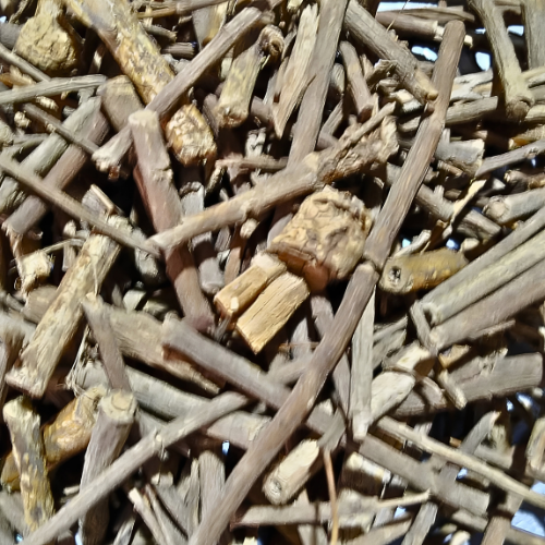 Dried Dischidia major Vahl Merr 100g.