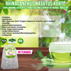 Rhinacanthus Nasutus Kurtz Snake Jasmine Tea 30 Teabags