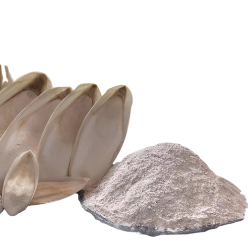 Cuttlefish Powder 100g. Cuttlebone Cuttlefish bone