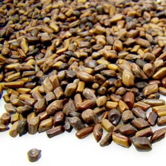 Dried Cassia seed Sickle Senna 100g product image