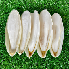 Dried Cuttlefish 100g. Cuttlebone Cuttlefish bone