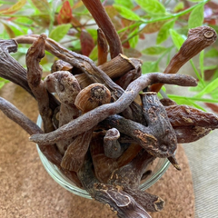 Dried Gloriosa superba L. 100g. Gloriosa lily