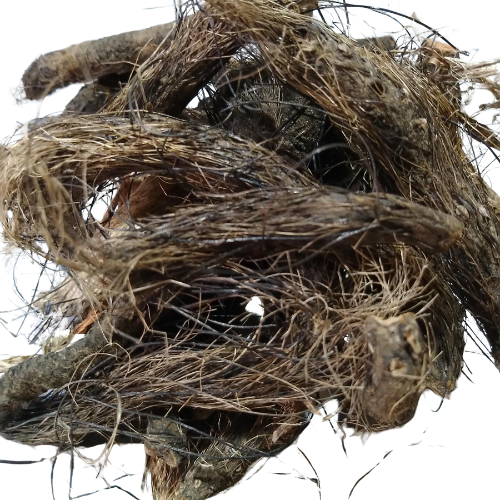 Dried Enhalus acoroides 100g. Sea acorus rhizome