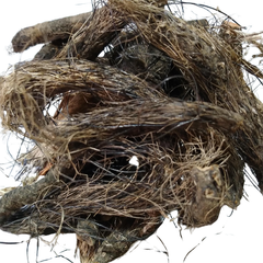 Dried Enhalus acoroides 100g. Sea acorus rhizome