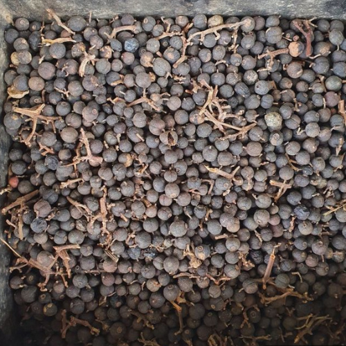 Dried Oxyceros horridus Lour. 100g. Siamese randia