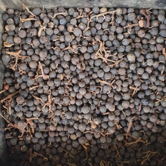 Dried Oxyceros horridus Lour. 100g. Siamese randia