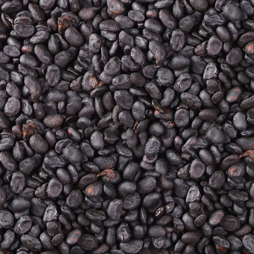 Dried Cullen corylifolium 100g. Malaytea Scurfpea Fruit