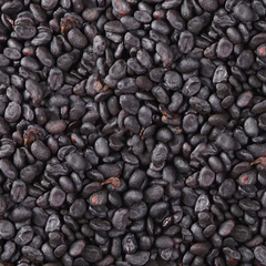 Dried Cullen corylifolium 100g. Malaytea Scurfpea Fruit