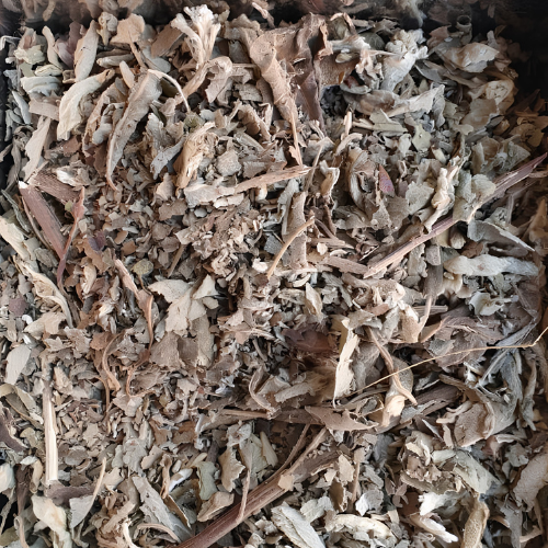 Dried Blumea balsamifera 100g.