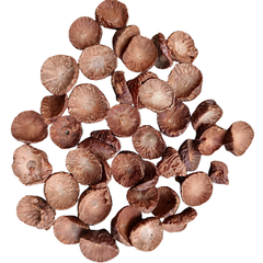 Betel Nut Palm Powder 100g. Areca catechu L.