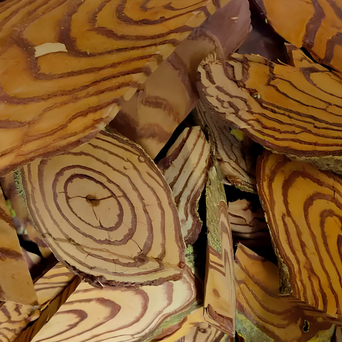 Dried Salacia verrucosa 100g.