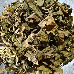 Dried Gossypium arboreum L Leaf 100g. Ceylon Cotton Chinese Cotton