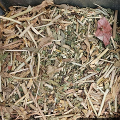 Dried Clinacanthus nutans Burm.f. Lindau 100g. Snake plant Sabah Snake Grass