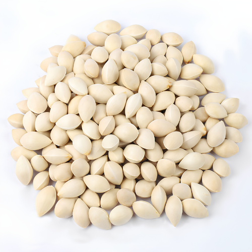Ginkgo Seed 100g. Ginkgo Biloba