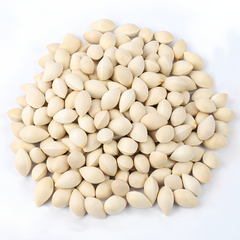 Ginkgo Seed 100g. Ginkgo Biloba
