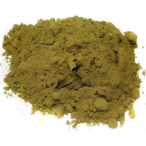 Putranjiva roxburghii Wall Powder 100g.
