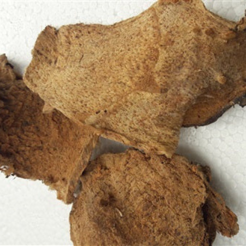 Dried Musa Kluai Tib Root 100g. Musa acuminata Banana Root