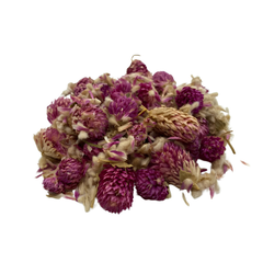 Gomphrena globosa L Flower Powder 100g. Globe Amaranth